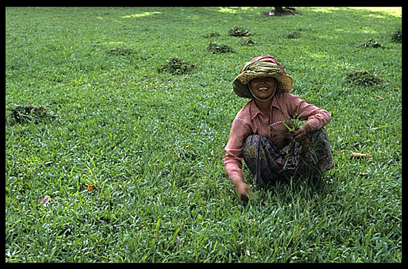 A smiling Cambodian woman near Angkor Wat.