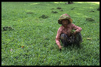 A smiling Cambodian woman near Angkor Wat. Siem Riep, Angkor, Cambodia