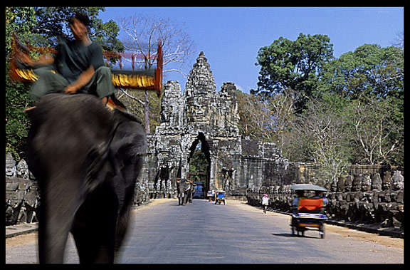 An elephant walks in front of Angkor Thom's South Gate.