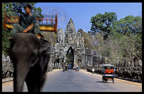 An elephant walks in front of Angkor Thom's South Gate. Siem Riep, Angkor, Cambodia