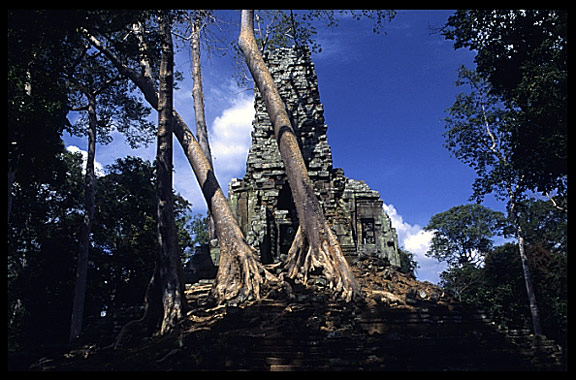 Almost swallowed by the jungle, Phimeanakas.