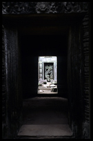The ruins of Ta Phrom. Siem Riep, Angkor, Cambodia