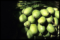 Fruit for sale inside the Psar Thmei, central Phnom Penh. Cambodia