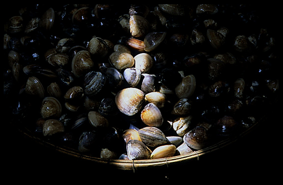 Shells for sale inside the Psar Thmei, central Phnom Penh.