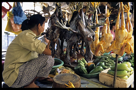 Chicken for sale inside the Psar Thmei, central Phnom Penh.