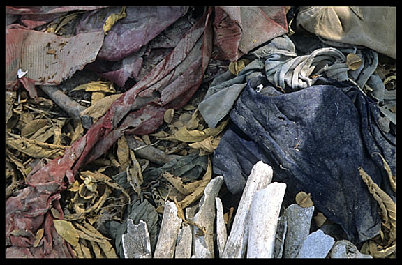 Fragments of human bone and bits of cloth scattered around the graves at Choeung Ek, the Killing Fields.