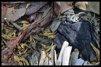 Fragments of human bone and bits of cloth scattered around the graves at Choeung Ek, the Killing Fields.