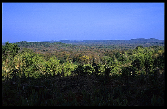 Fine views across the jungle of Ratanakiri near Voen Sai, Cambodia