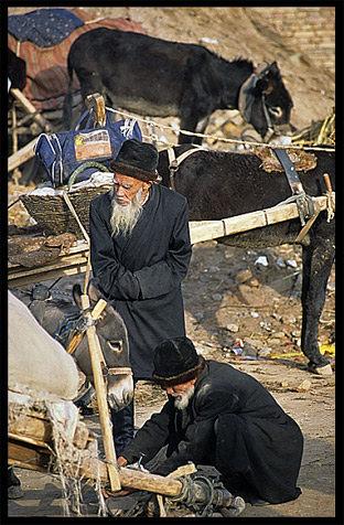 Portrait of Uyghur men. Kashgar, Xinjiang, China