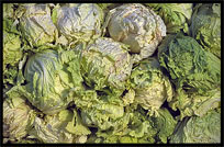 Vegetables for sale at the Sunday Market. Kashgar, Xinjiang, China