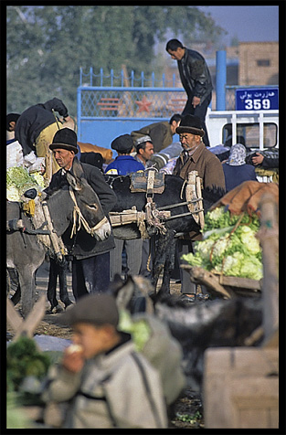 Sunday Market. Kashgar, Xinjiang, China