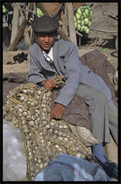 Portrait of Uyghur boy sitting on a mountain of garlic. Kashgar, Xinjiang, China