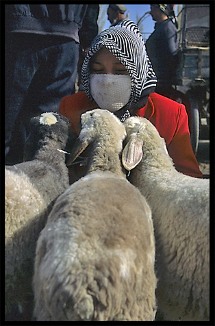 Portrait of Uyghur woman and her sheep at the Sunday Market. Hotan, Xinjiang, China