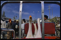 A goose at the Sunday Market. Hotan, Xinjiang, China