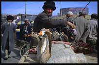 Portrait of Uyghur man at the Sunday Market. Hotan, Xinjiang, China