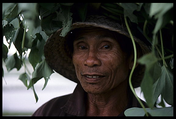 A rice field worker in Central Bali near Petulu.