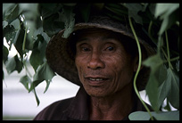 A rice field worker in Central Bali near Petulu.