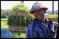 A land worker near Culik.