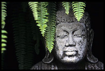 A hidden buddha statue in East Bali.