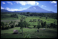 Pictures of Northern Bali