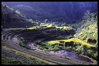 A rice field valley in North-South Bali.