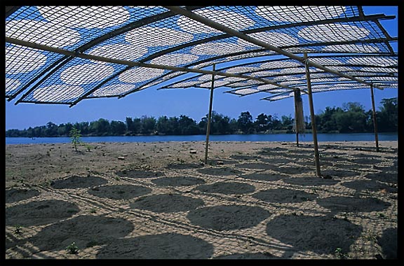 Drying Lao-style pancakes on the four thousand islands. Si Phan Don, Don Khong, Laos