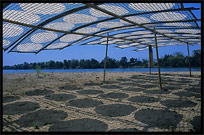 Drying Lao-style pancakes on the four thousand islands. Si Phan Don, Don Khong, Laos