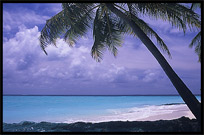 A holiday on one of the many Maldives islands offers good all inclusive hotels on resorts with white sand beaches.