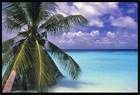 A holiday on one of the many Maldives islands offers good all inclusive hotels on resorts with white sand beaches.