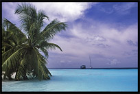 A holiday on one of the many Maldives islands offers good all inclusive hotels on resorts with white sand beaches.