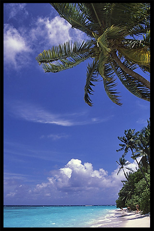 Fihalhohi resort, South Male' Atoll, the Maldives