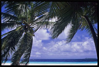 A holiday on one of the many Maldives islands offers good all inclusive hotels on resorts with white sand beaches.