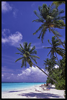 A holiday on one of the many Maldives islands offers good all inclusive hotels on resorts with white sand beaches.