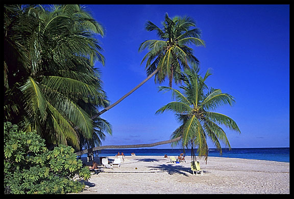 Fihalhohi resort, South Male' Atoll, the Maldives