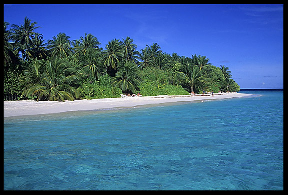 Fihalhohi resort, South Male' Atoll, the Maldives