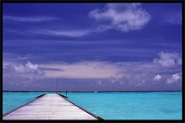 A holiday on one of the many Maldives islands offers good all inclusive hotels on resorts with white sand beaches.