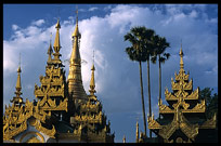 Stupas and palm trees at Shwedagon Paya in Yangon.