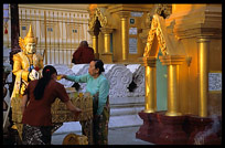 Shwedagon Paya is a maze of shrines and images. Two women devotees lay flowers at a shrine.