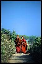 Monks walking in the field.