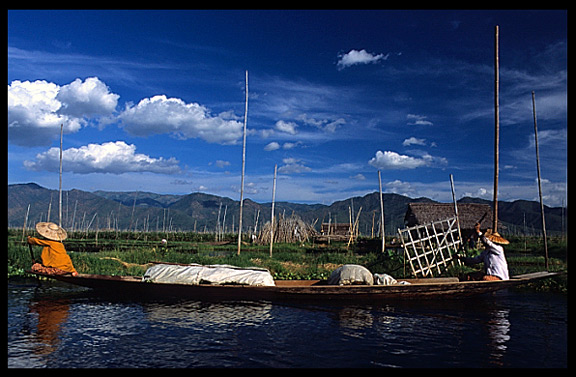 Local transport on one of the canals along the floating gardens in Inle Lake.