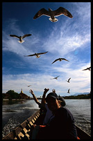 Gulls are following our canoe on Inle Lake.