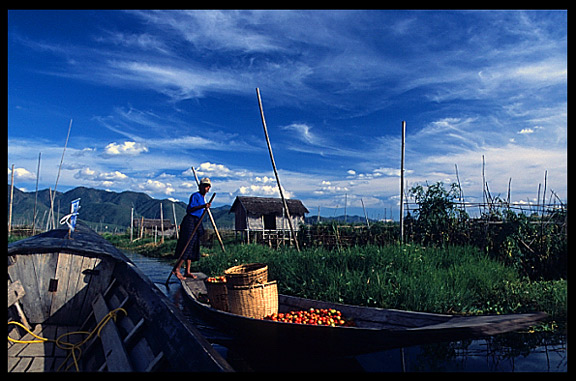 A Burmese farmer bringing his vegetables to the floating market, Inle-style.