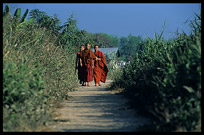 Monks walking in the field.