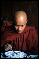 A Monk having rice for lunch in monastery ni Nanthe village near Nyaungshwe.