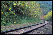 Burmese railway track near the village of Myin Saing Gone.