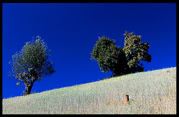 A typical sight on the Shan Plateau near Kalaw.