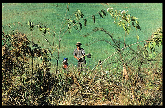 Working in the field on the Shan Plateau near Kalaw.