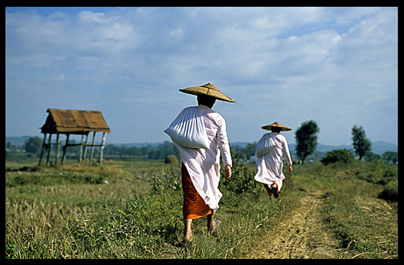 Burmese nuns walking in the field near Hsipaw.