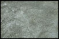 Patterns in the sand on Ngapali beach.