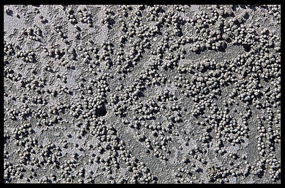 Patterns in the sand on Ngapali beach.